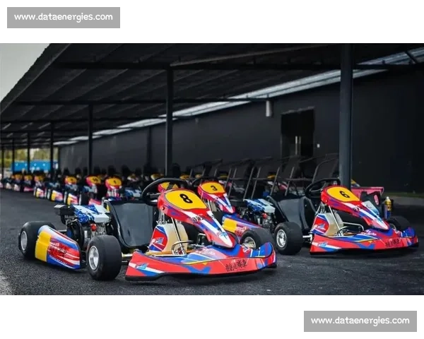 极速飞驰真实赛道体验挑战赛冠军争夺战 极速飞驰真实赛道体验挑战赛冠军争夺战